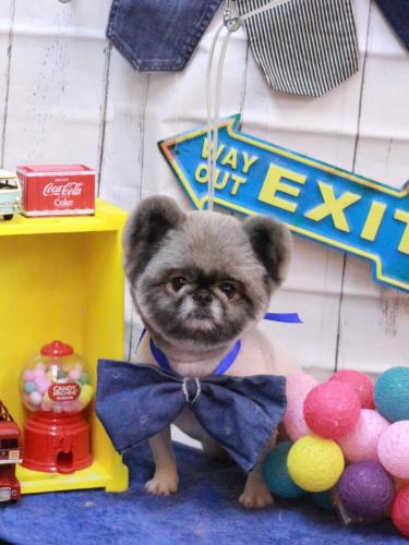 20230414リムルくん